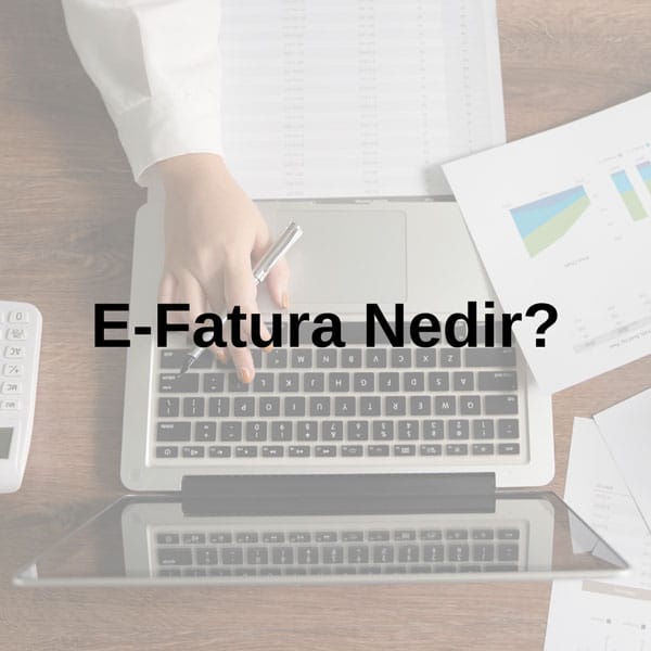 e-dönüşüm hizmetleri e-fatura nedir