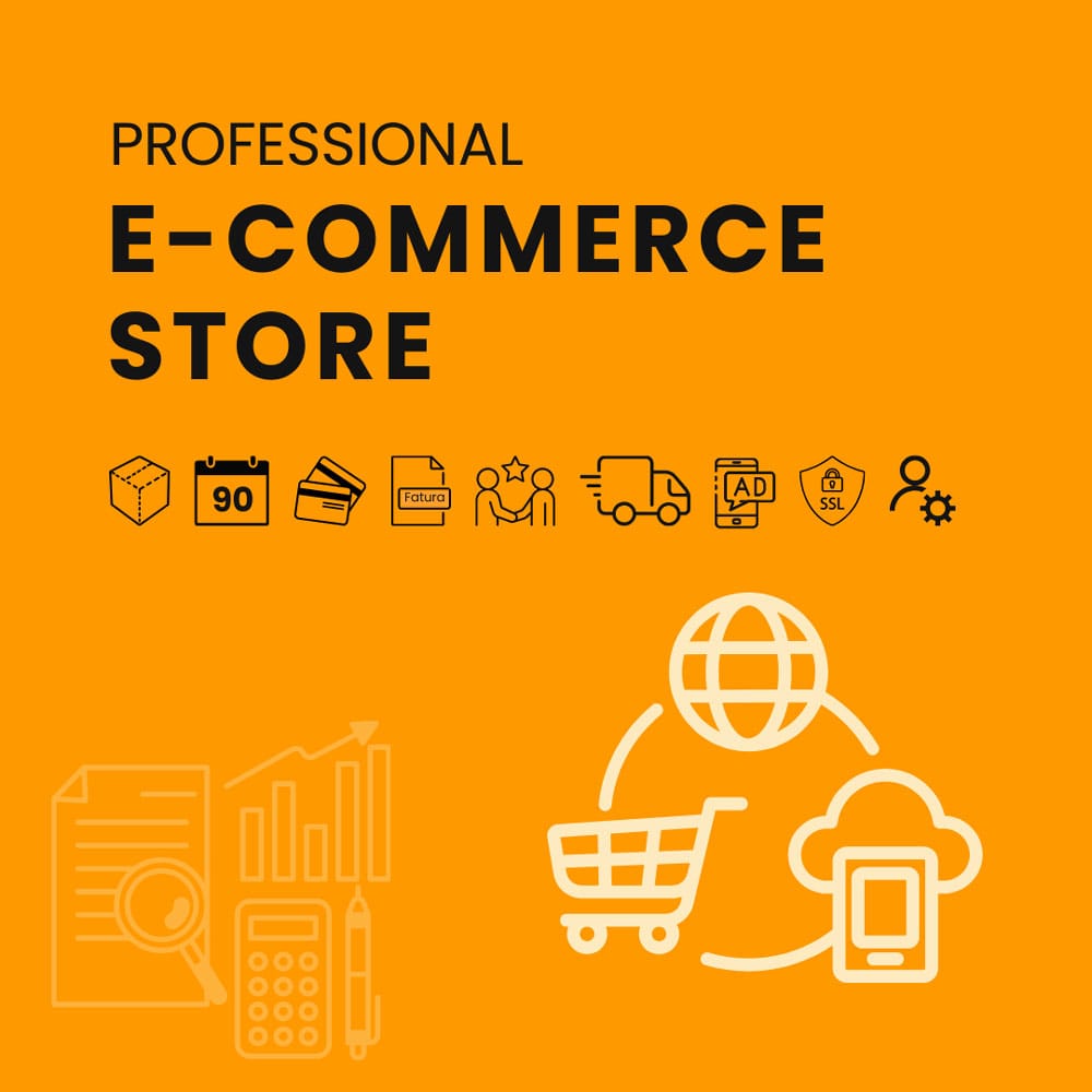 professional corporate e commerce store