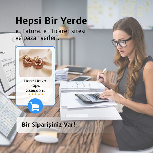 e-ticaret muhasebe programı hepsi bir arada